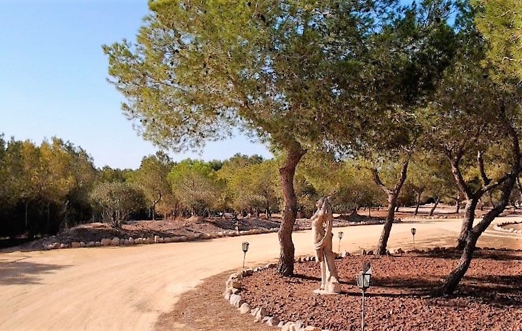 GRAN FINCA DE 12947 METROS CUADRADOS CON CASA DE LUJO