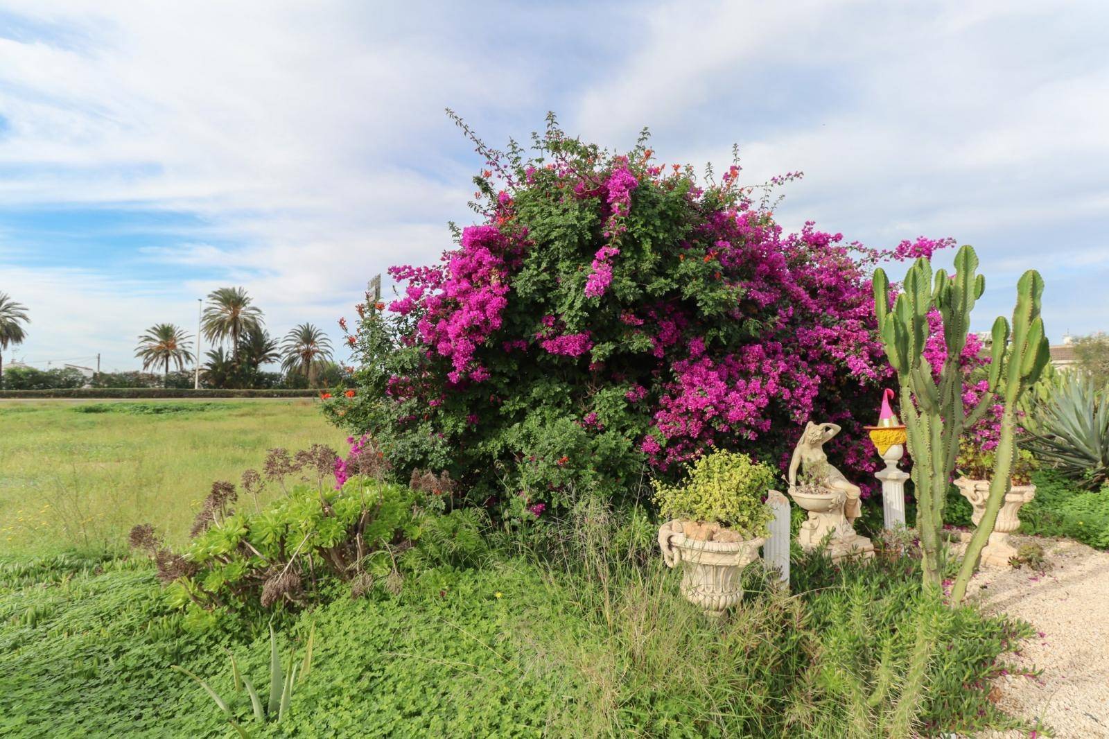 木屋 出售 在 Torrevieja