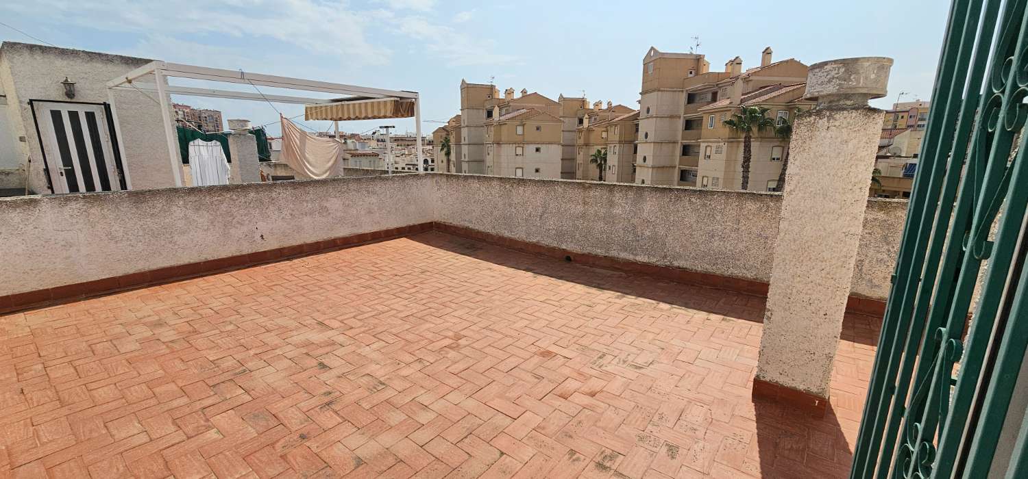 APARTMENT WITH PRIVATE SOLARIUM NEAR PLAYA DE LOS LOCOS