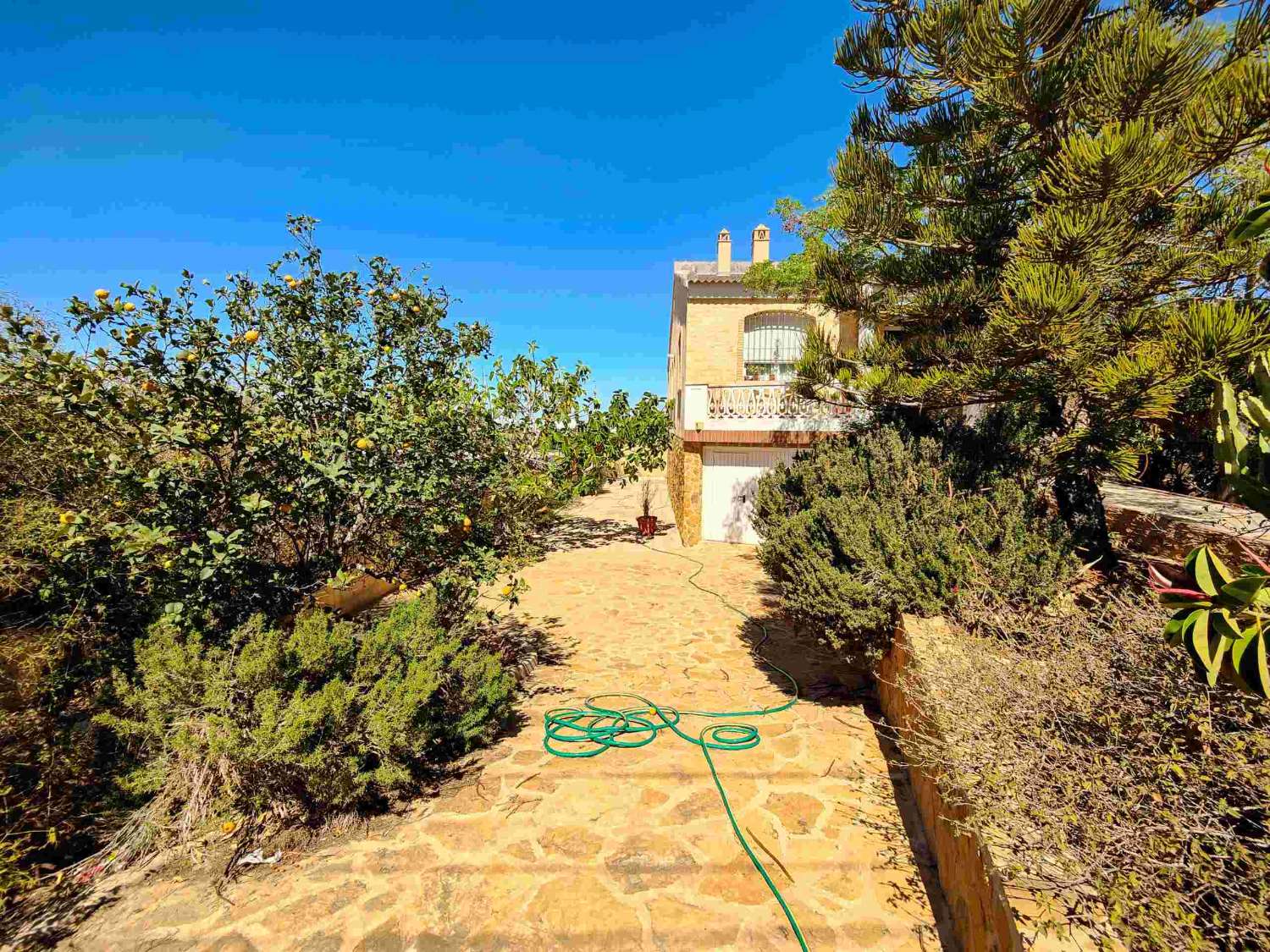 "OPPORTUNITÉ UNIQUE ! VILLA INDIVIDUELLE DE 2 CHAMBRES AVEC GRAND TERRAIN À AGUAS NUEVAS, TORREVIEJA.