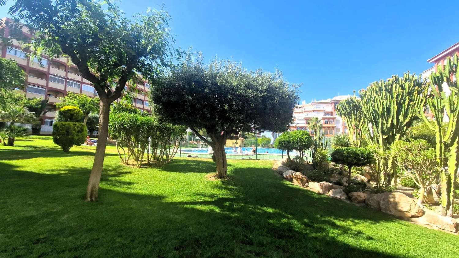 MODERN AND COZY APARTMENT IN AGUAS NUEVAS A FEW MINUTES FROM LA MATA BEACH