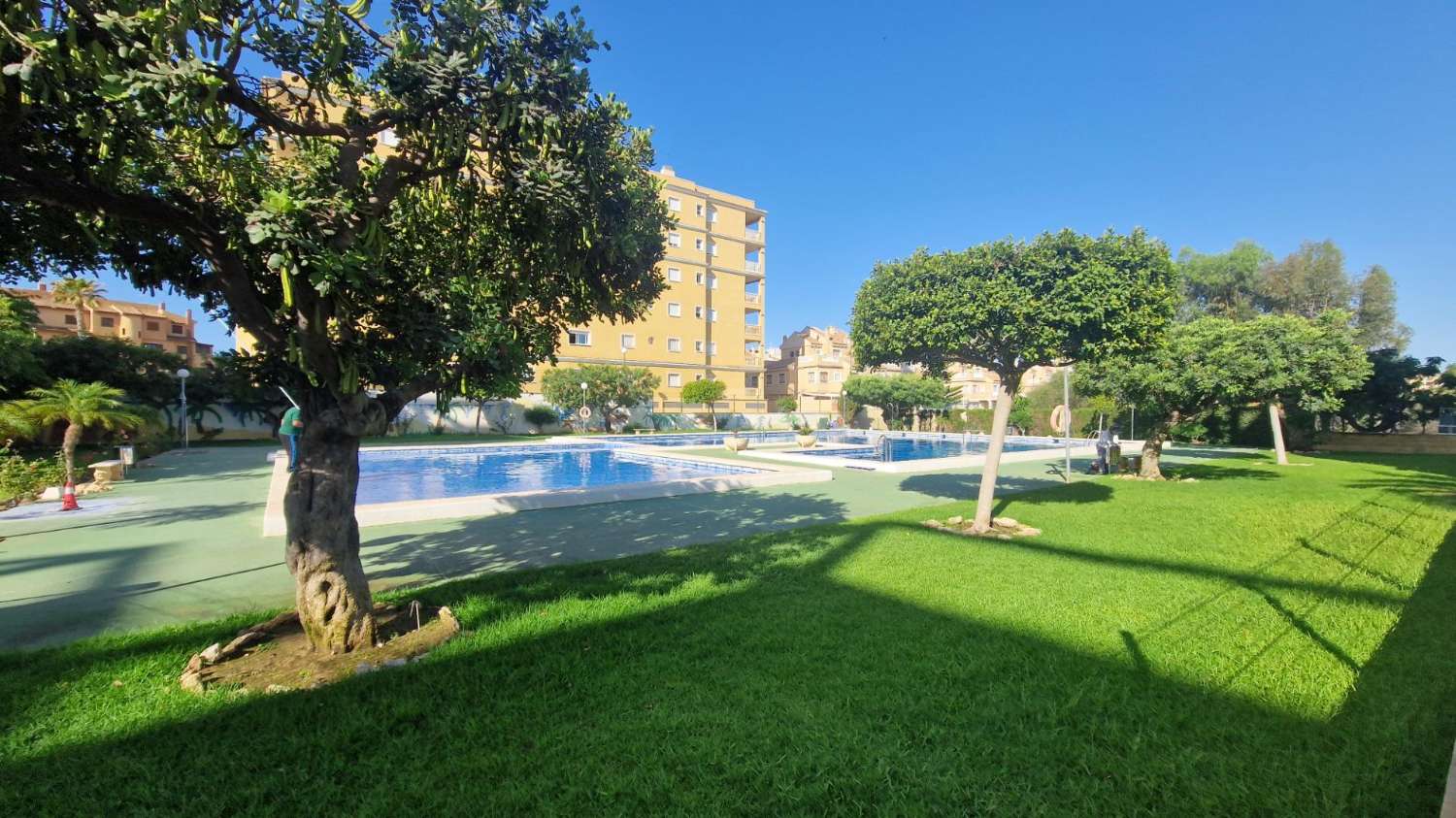 Apartament en venda in Torrevieja