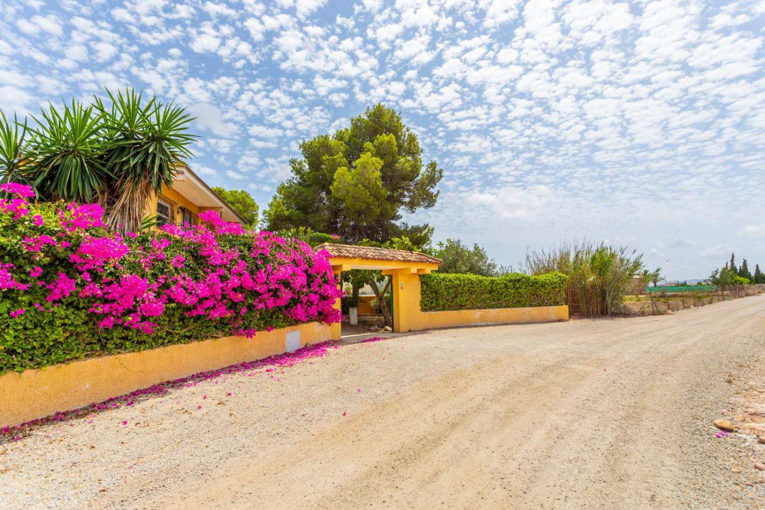 TU REFUGIO DE ENSUEÑO: ESPECTACULAR FINCA RÚSTICA CON PISCINA Y AMPLIA PARCELA EN LOS MONTESINOS