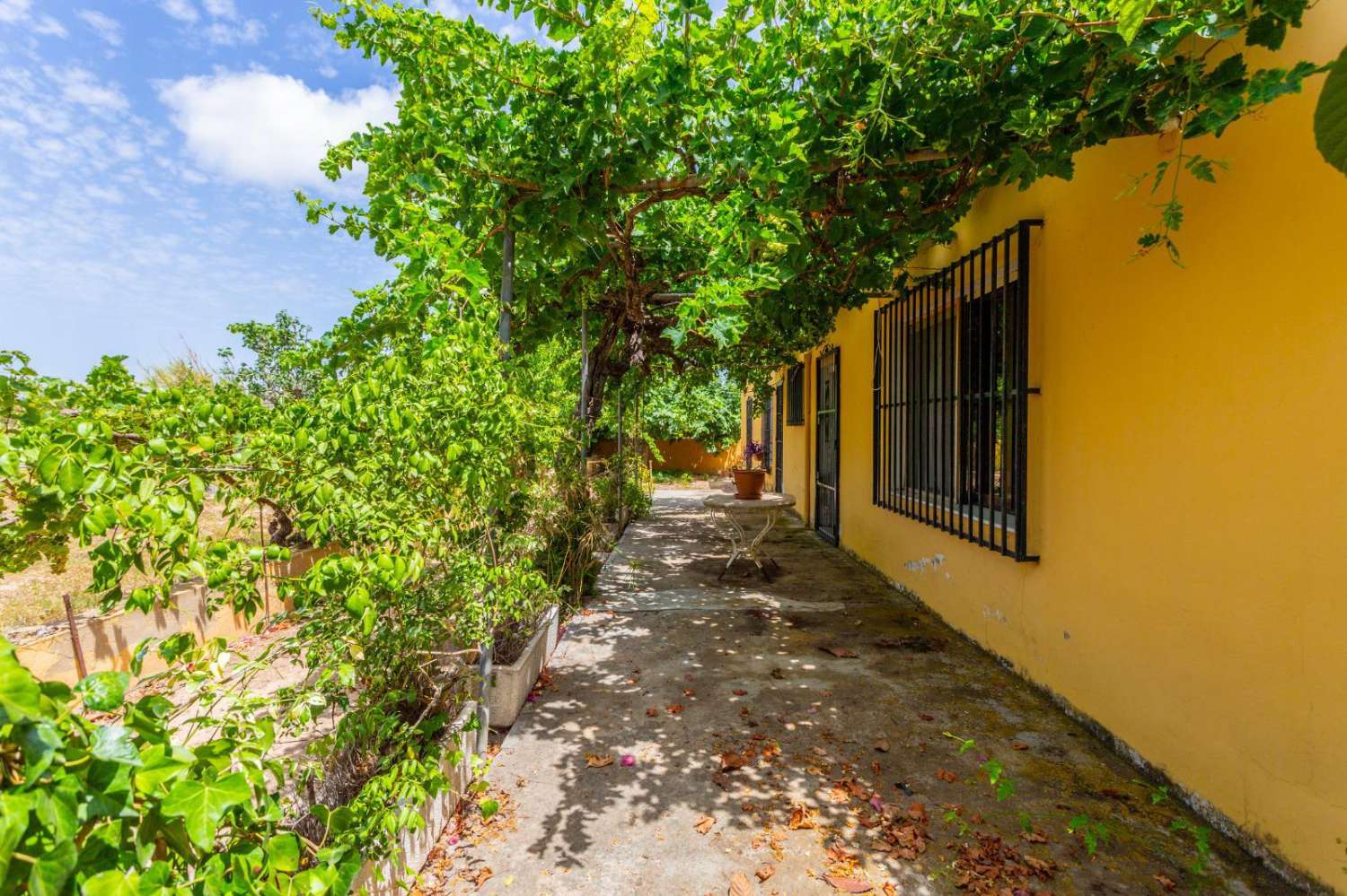 VOTRE RETRAITE DE RÊVE : FINCA RUSTIQUE SPECTACULAIRE AVEC PISCINE ET GRAND TERRAIN À LOS MONTESINOS