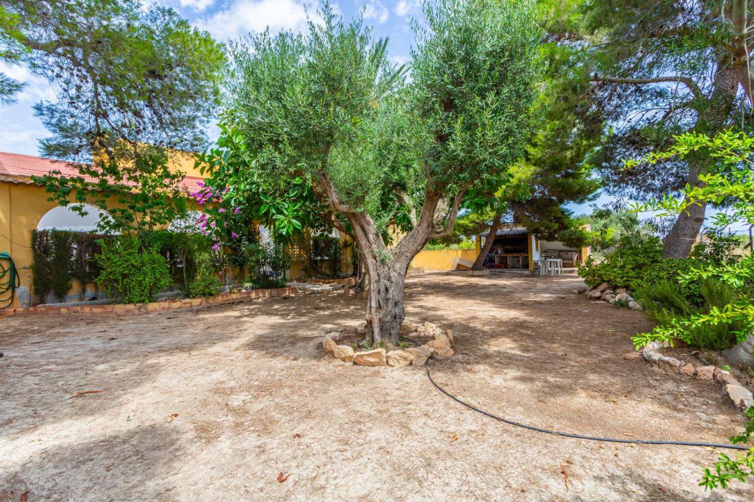 TU REFUGIO DE ENSUEÑO: ESPECTACULAR FINCA RÚSTICA CON PISCINA Y AMPLIA PARCELA EN LOS MONTESINOS