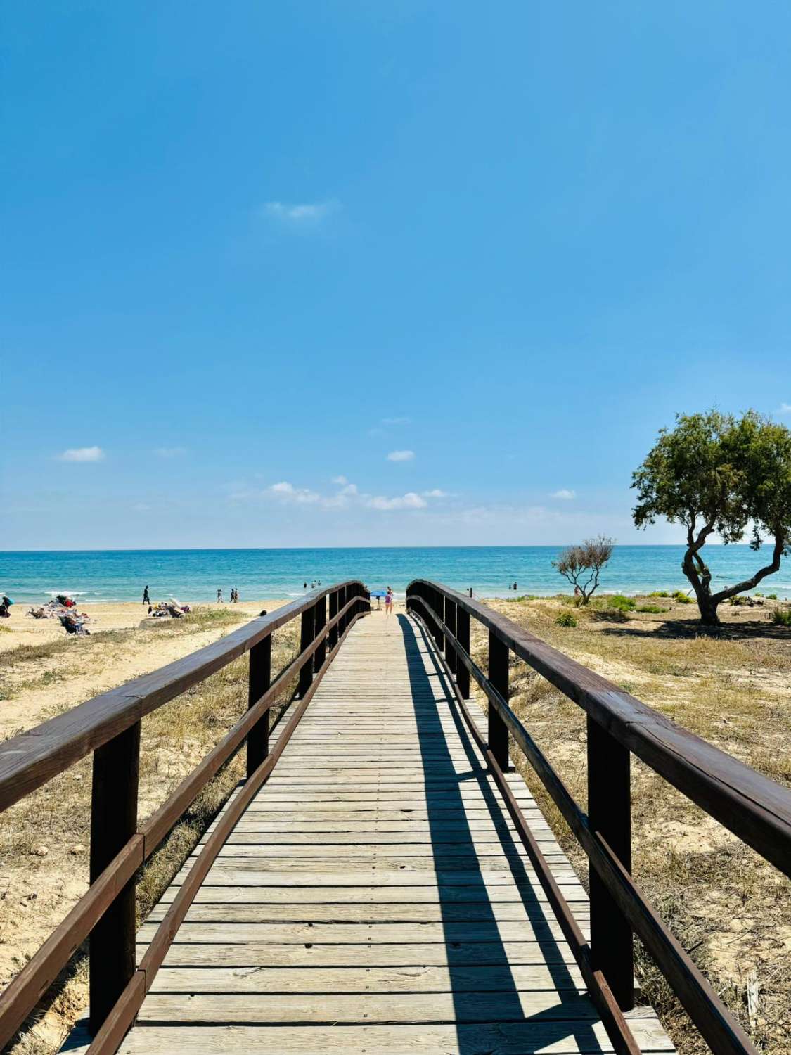 ESPECTACULAR ÁTICO A 100 METROS DEL MAR EN LA MATA, TORREVIEJA, CON AMPLIA TERRAZA Y TRES DORMITORIOS