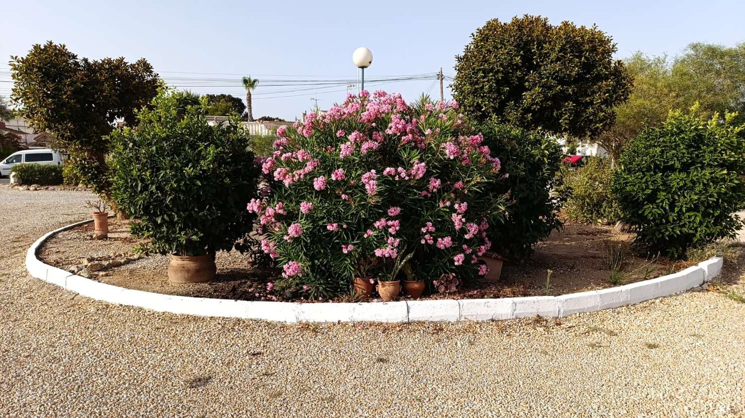 RENOVERET BUNGALOW I TORRETA MED TERRASSE OG PARKERING INKLUDERET