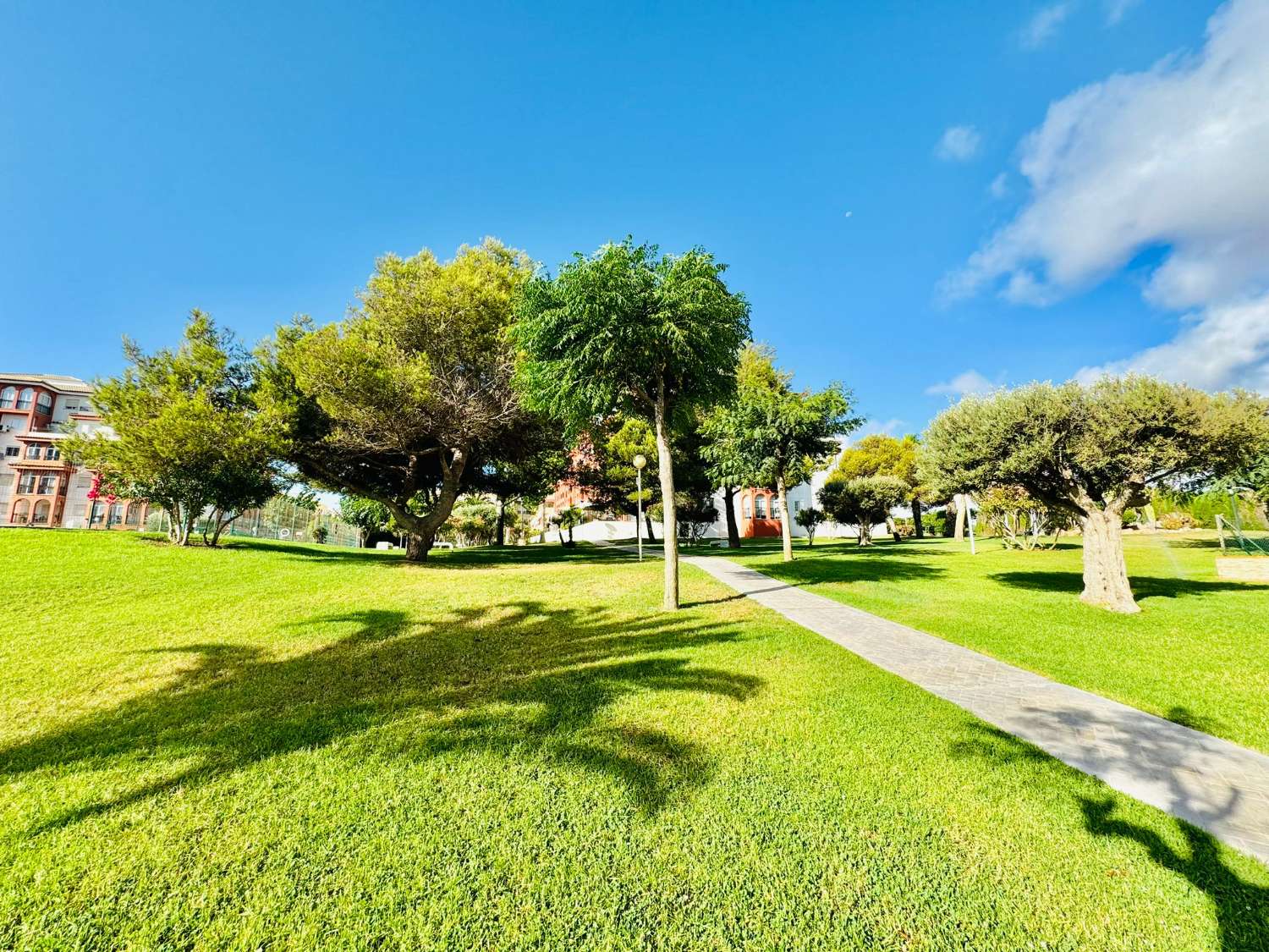 MAGNIFIK LÄGENHET I TORREVIEJA 500 METER FRÅN LA MATA-STRANDEN