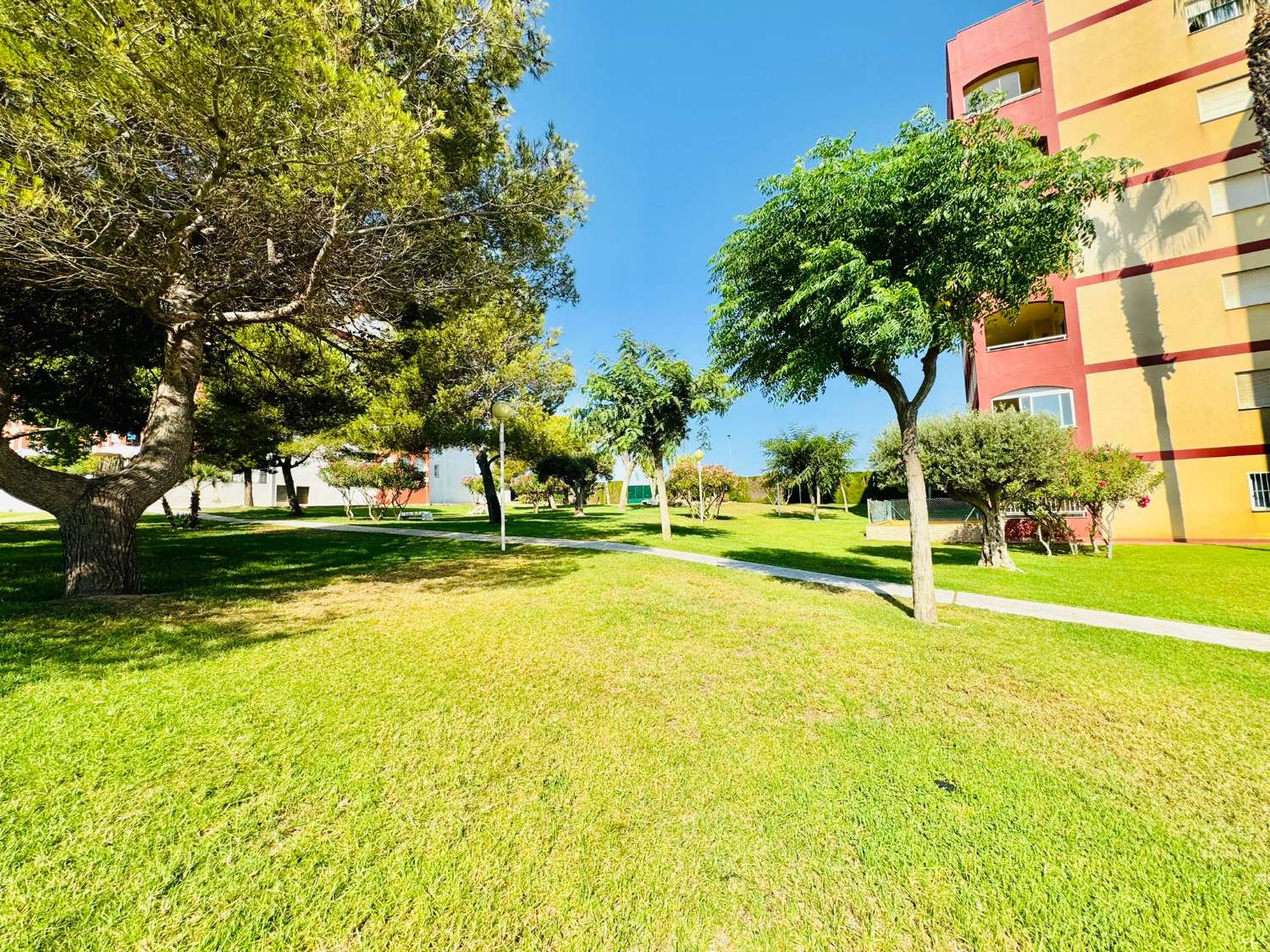 PRACHTIG APPARTEMENT IN TORREVIEJA OP 500 METER VAN HET STRAND VAN LA MATA