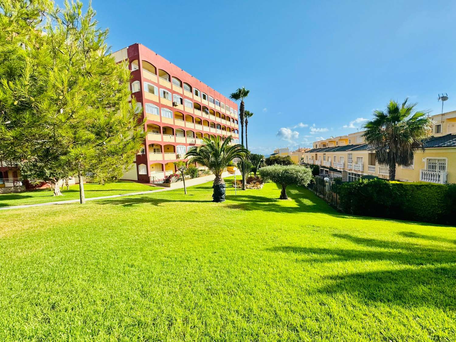 STORSLÅET LEJLIGHED I TORREVIEJA 500 METER FRA LA MATA STRAND