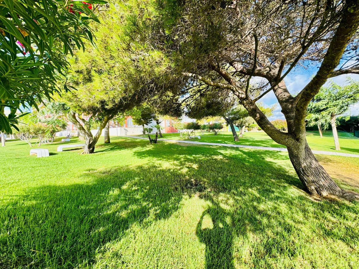 MAGNIFIQUE APPARTEMENT À TORREVIEJA À 500 MÈTRES DE LA PLAGE DE LA MATA