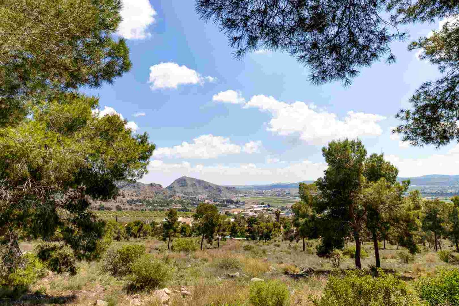 VILLA INDIVIDUELLE DE LUXE EXCLUSIVE À ORIHUELA AVEC UN GRAND TERRAIN ET UNE INTIMITÉ TOTALE