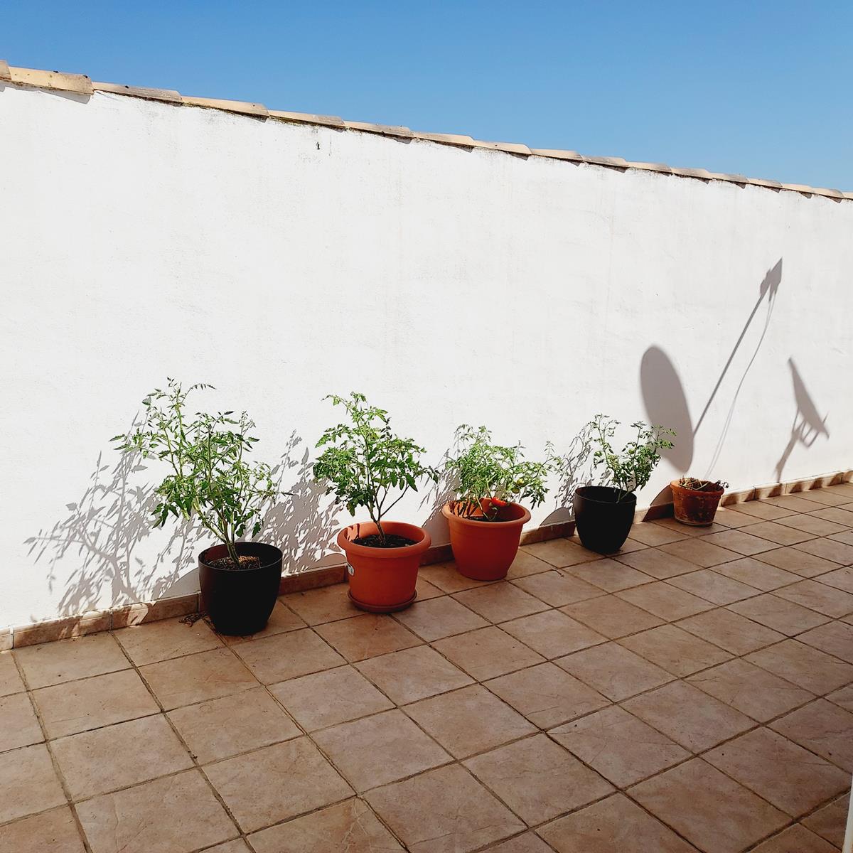 SPECTACULAIRE VILLA MET UITZICHT OP DE ZOUTVLAKTEN EN BERGEN IN TORREVIEJA, MET EIGEN TUIN EN GROTE SEMI-KELDER