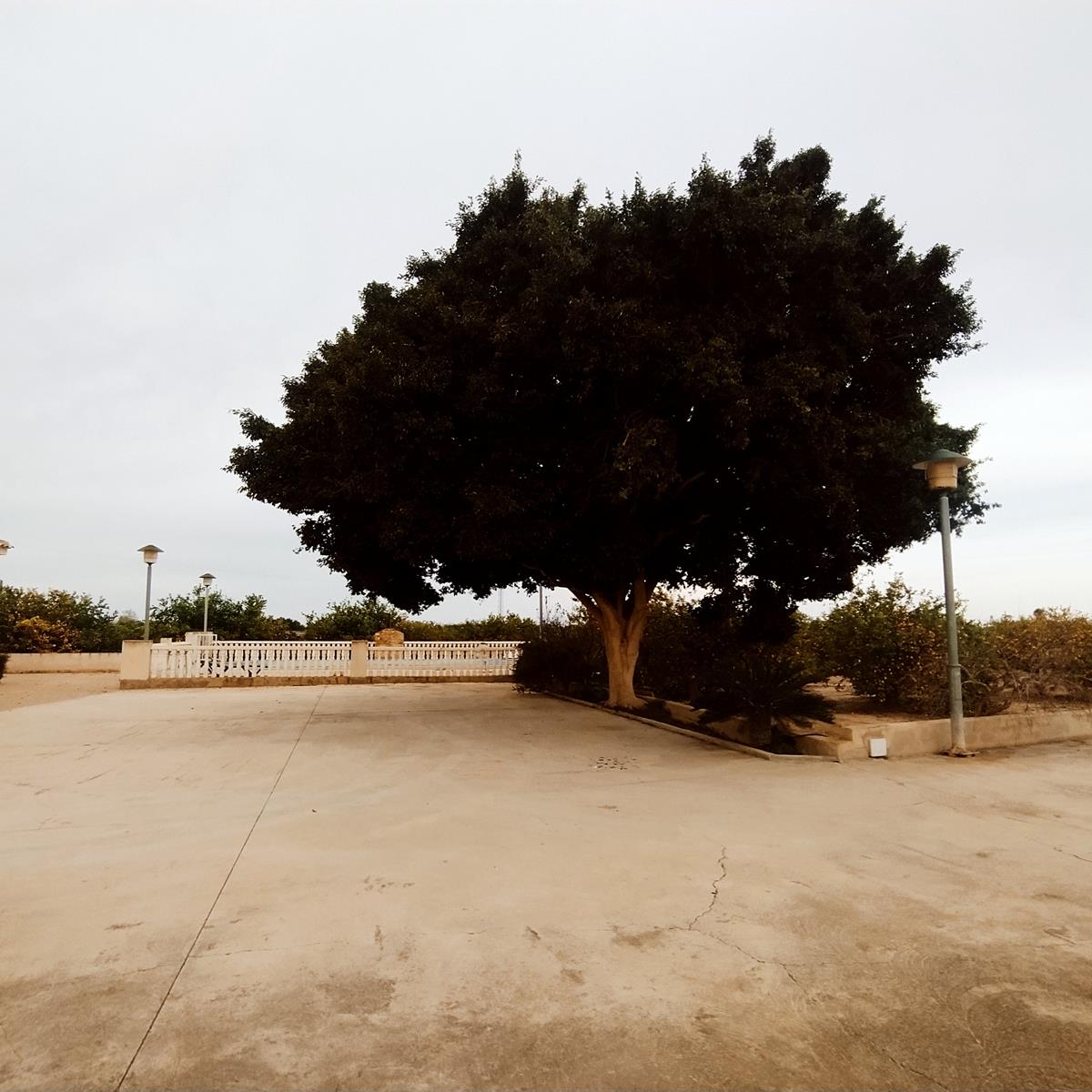 ESCLUSIVA VILLA MEDITERRANEA RISTRUTTURATA CON PISCINA PRIVATA E GRANDE TERRENO NELLA VEGA BAJA