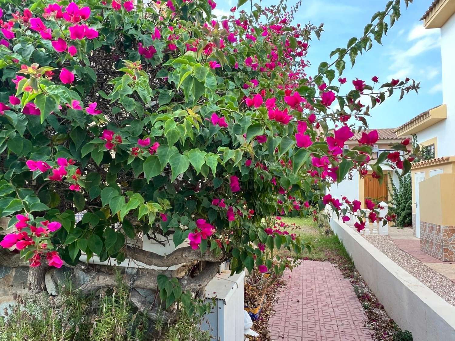 RUMMELIG VILLA I ORIHUELA COSTA MED STOR GRUND OG TÆT PÅ STRANDE OG GOLFBANER