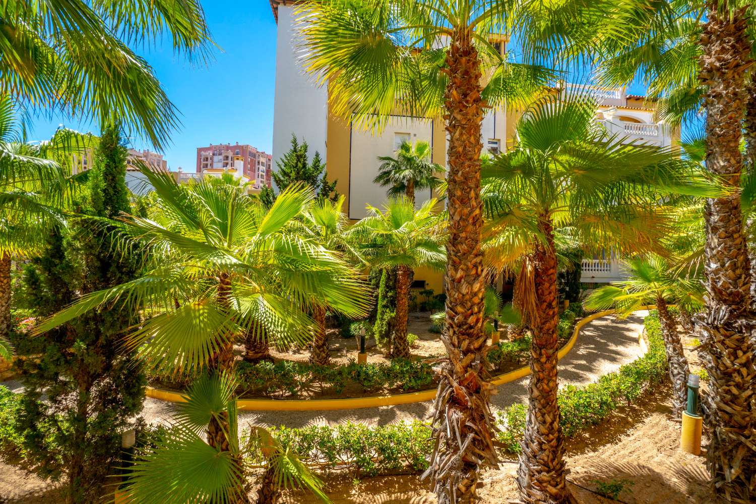 Átic en venda in Playa de los Locos (Torrevieja)