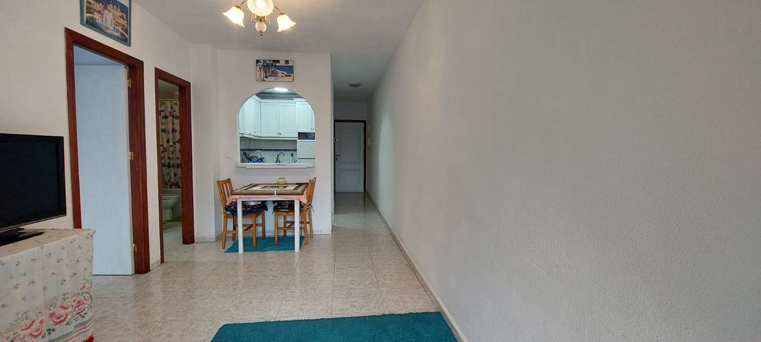 BRIGHT AND FURNISHED APARTMENT IN FRONT OF THE BUS STATION!